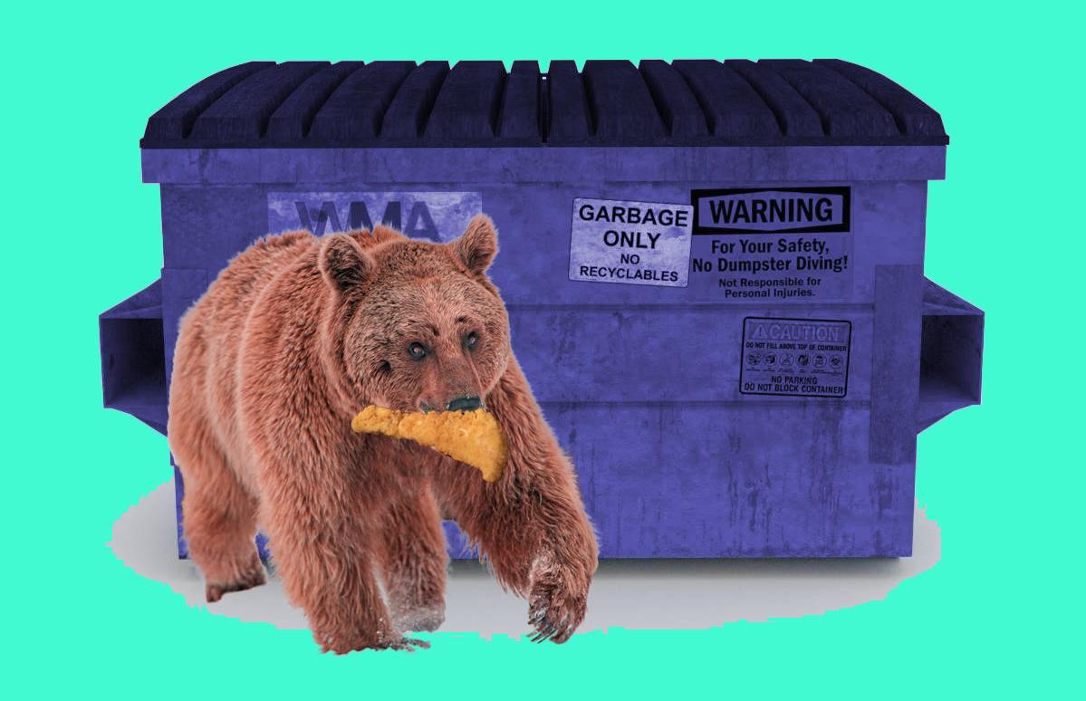 dumpster_bear_koostra